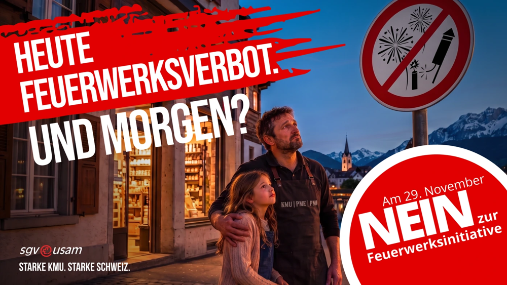 Feuerwerksverbot Initiative